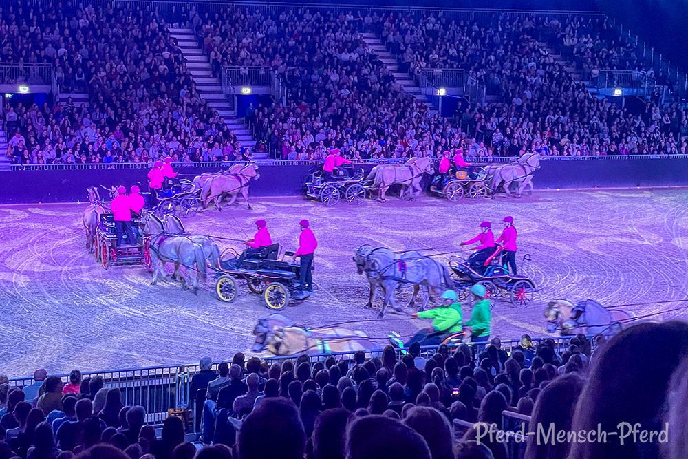 Auf der Equitana 2025 – Hop Top Show