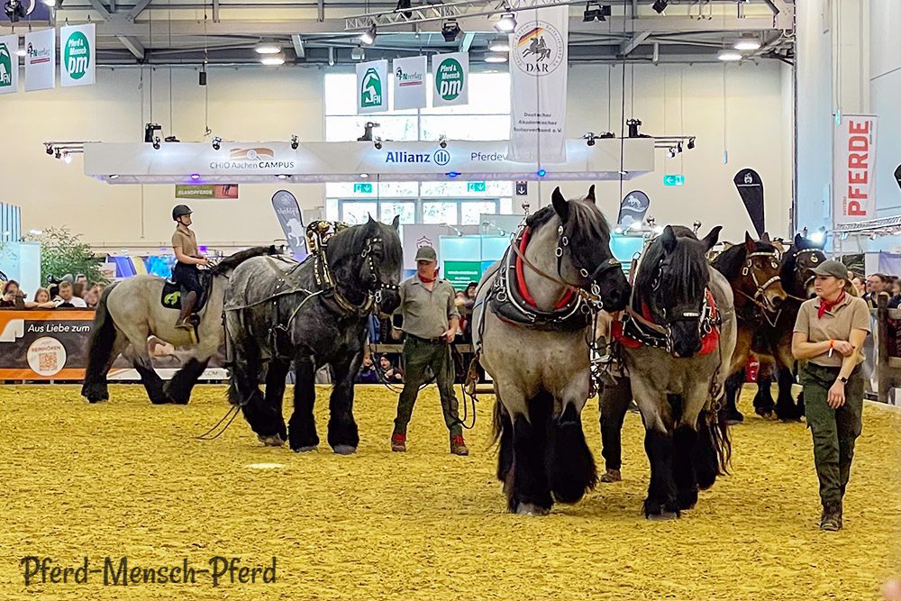 Auf der Equitana 2025