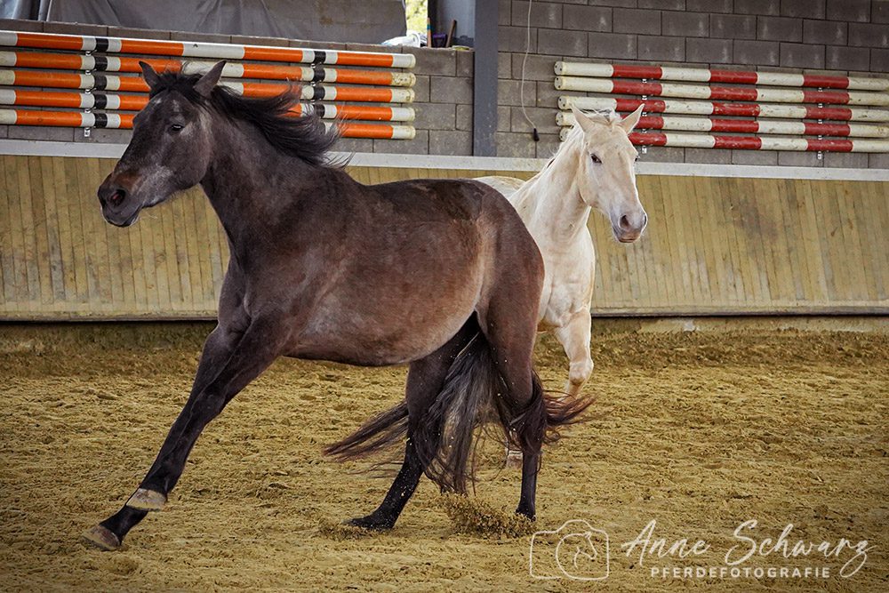 Feli und Leya