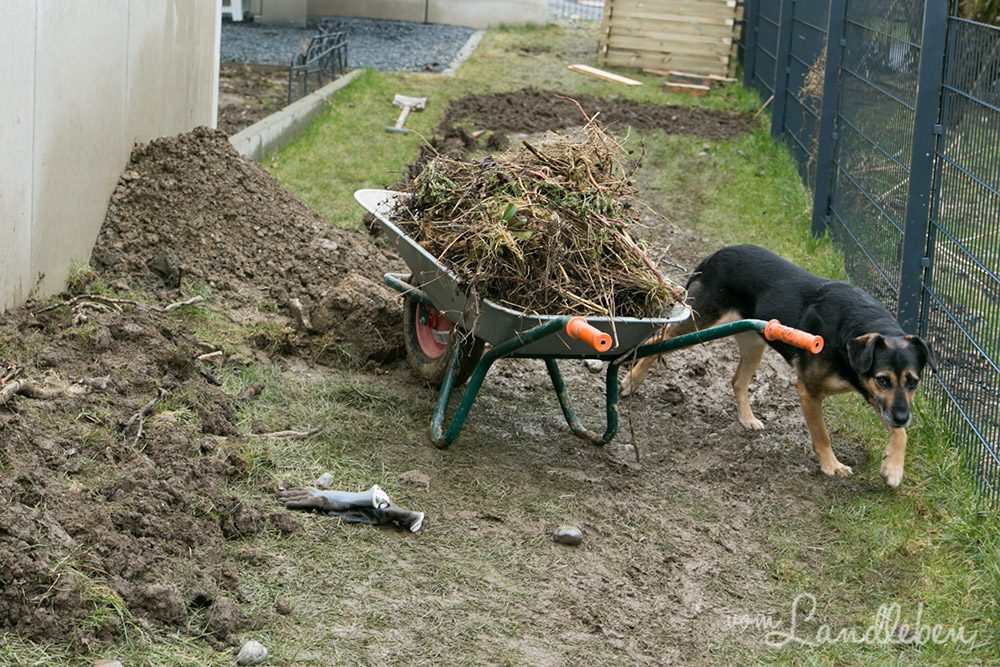 Der Gemüsegarten entsteht – März 2018