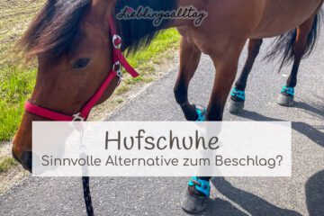 Hufschuhe – sinnvolle Alternative zum Beschlag?