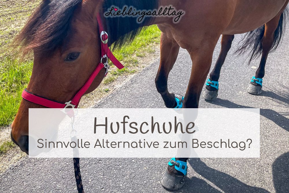 Hufschuhe – sinnvolle Alternative zum Beschlag?
