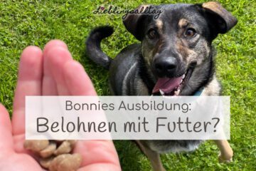 Hundetraining: belohnen mit Futter?