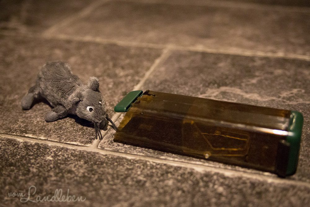 Lebendfalle für Mäuse
