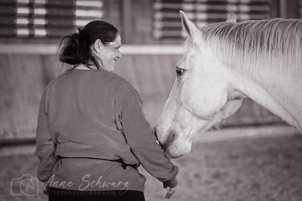 Leya – Pferdefotografie