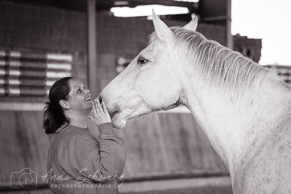 Leya – Pferdefotografie