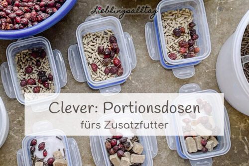 Lifehack für Pferdemenschen – Portionsdosen für Zusatzfutter
