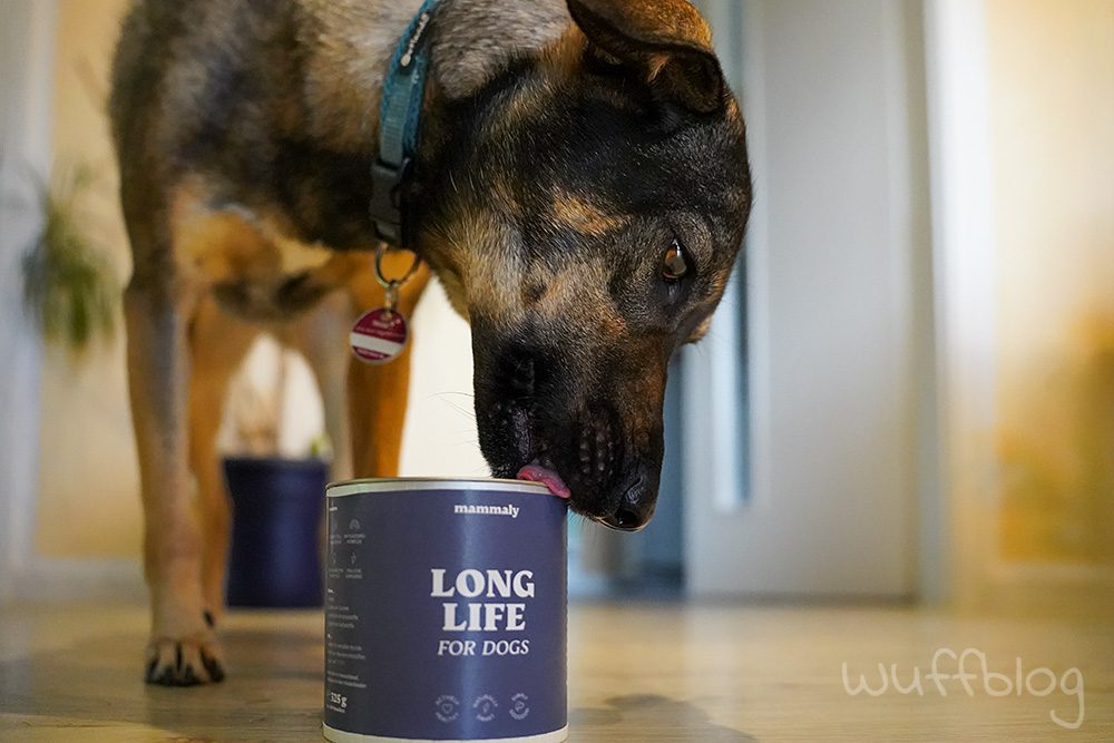 Long Life - Snacks von mammaly