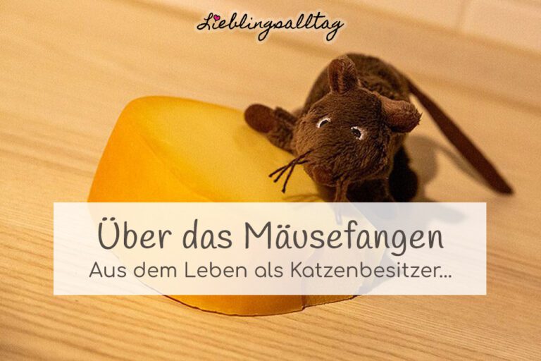 Mäusefangen als Katzenbesitzer