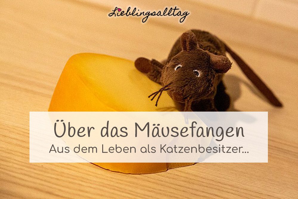Mäusefangen als Katzenbesitzer
