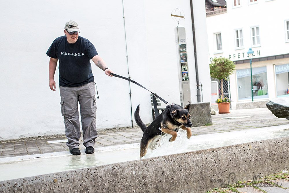 Nala in Blaubeuren