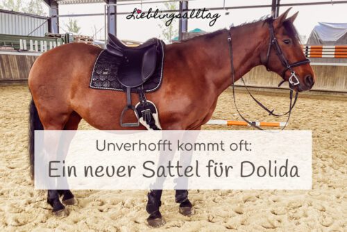 Neuer Sattel für Dolida