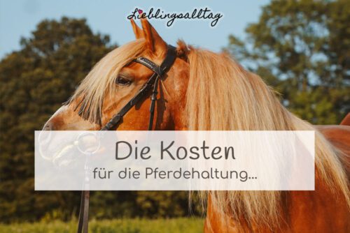 Kosten der Pferdehaltung