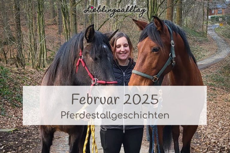 Pferdestallgeschichten Februar 2025