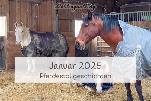 Pferdestallgeschichten Januar 2025