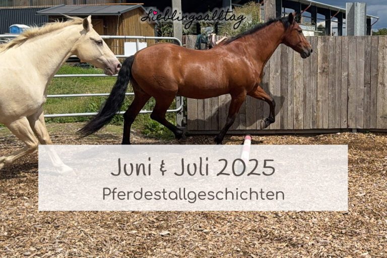 Pferdestallgeschichten Juni & Juli 2025