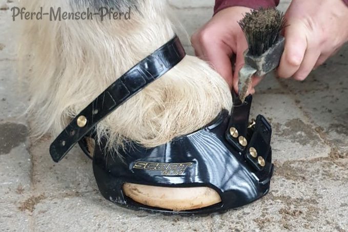 Scoot Boots – Hufschuhe