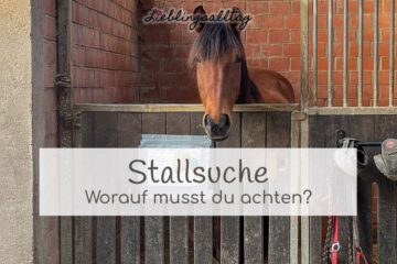 Stallsuche für dein Pferd – auf was musst du achten?