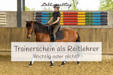 Trainerschein als Reitlehrer – wichtig oder nicht?