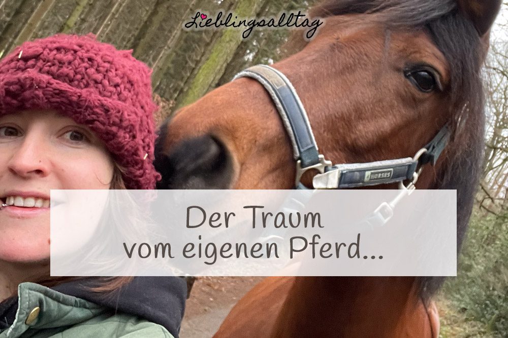 Der Traum vom eigenen Pferd