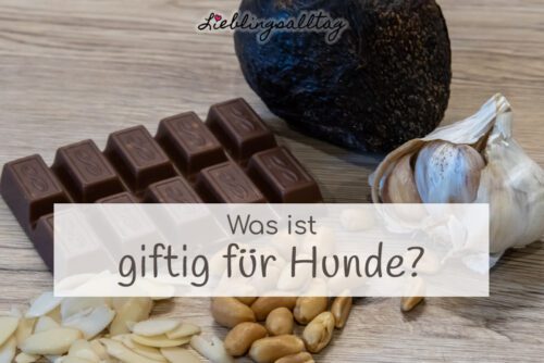 Was ist giftig für Hunde?