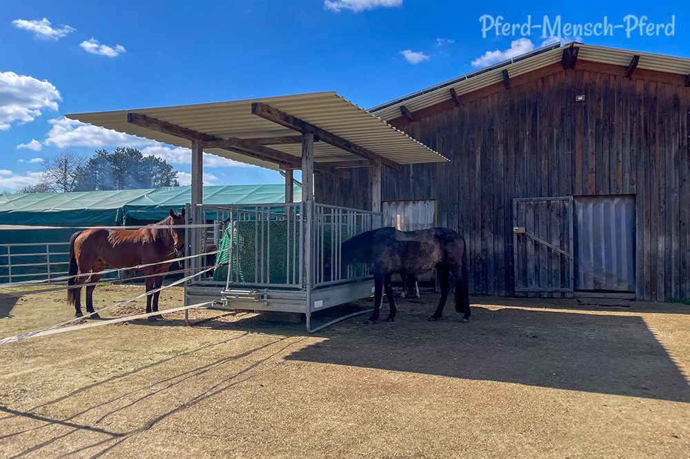 Neue XXL-Raufe für die Stutenherde
