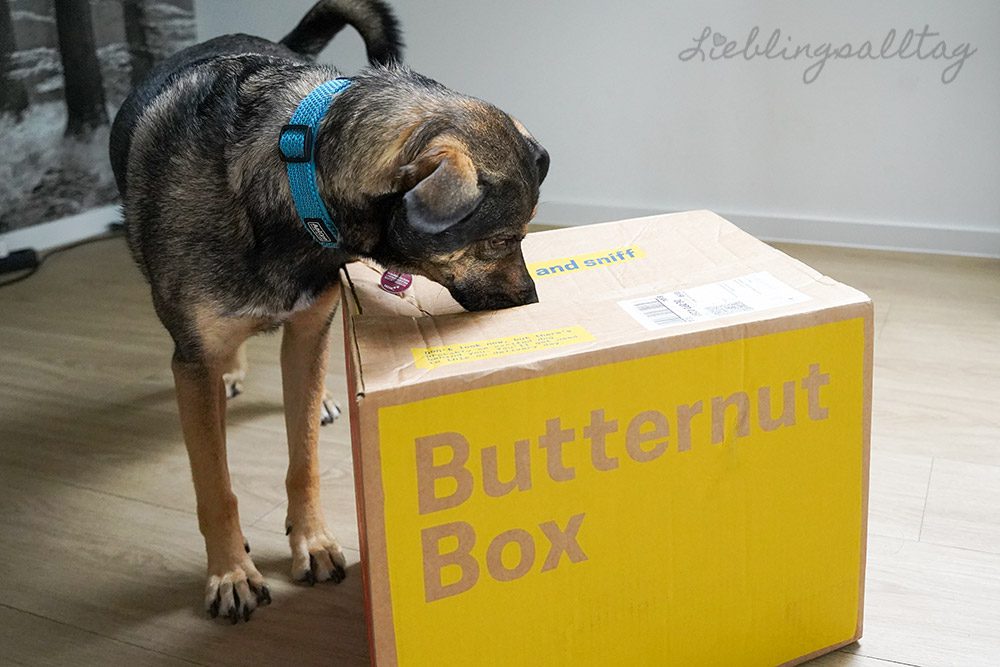 Bonnie testet die Butternut Box
