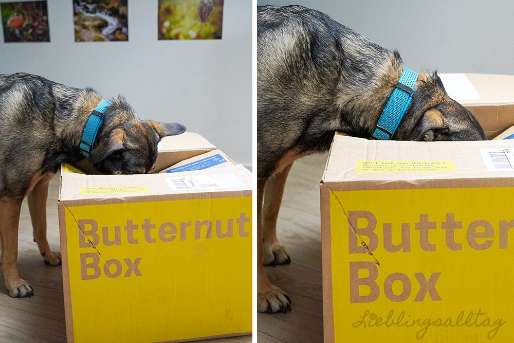 Bonnie testet die Butternut Box