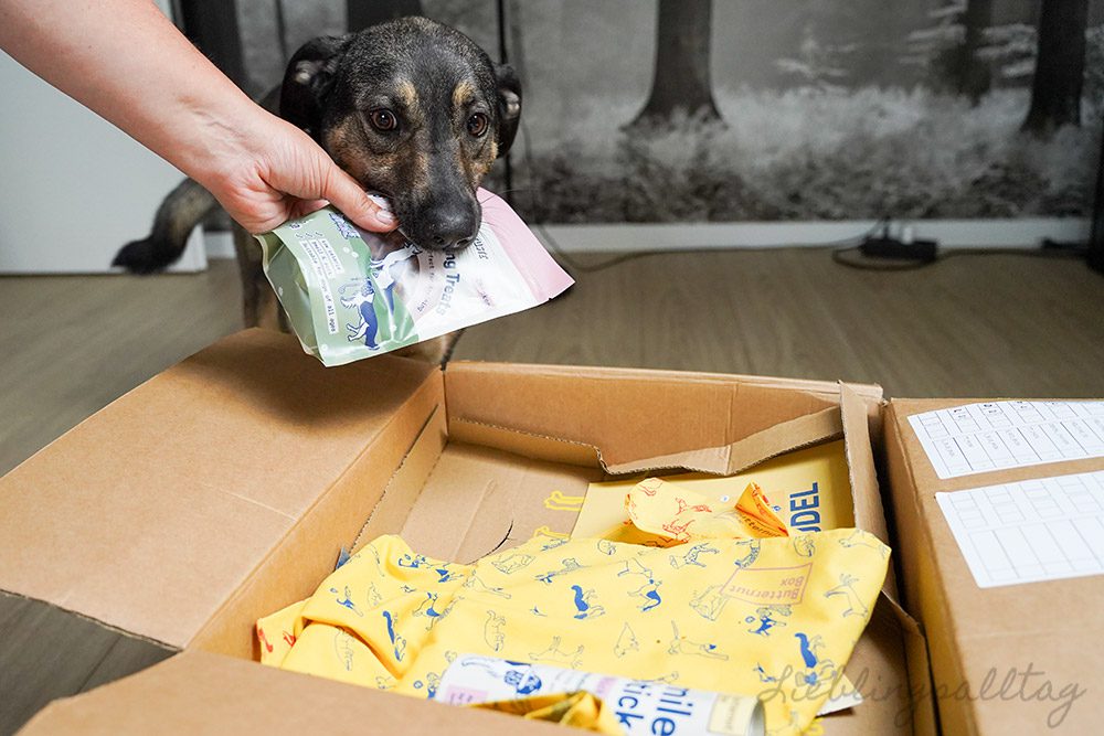 Bonnie testet die Butternut Box