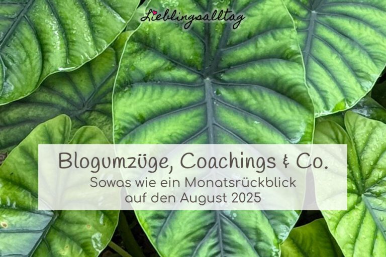 Monatsrückblick August 2025
