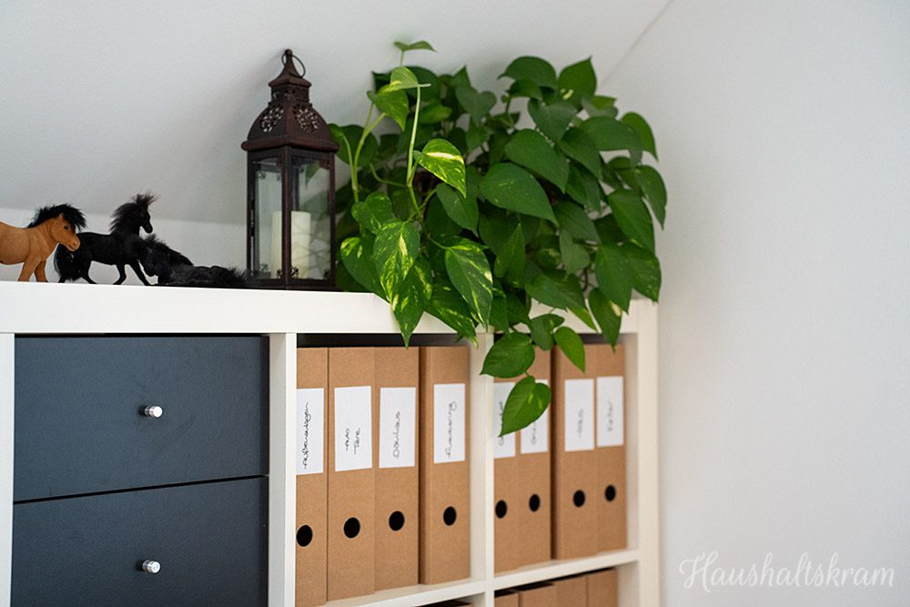 Pflanzen im Home Office