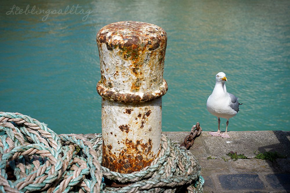 Hafen von Saint-Valéry-en-Caux