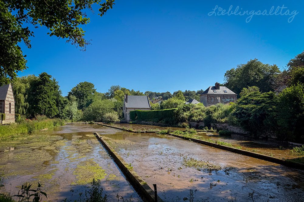 Cressonnières in Veules-les-Roses