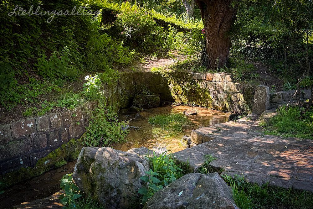 Quelle der Veules in Veules-les-Roses
