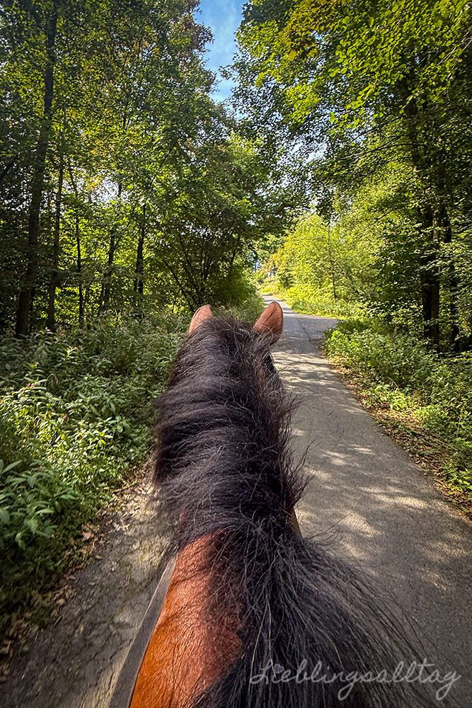 Ausreiten mit Dolida