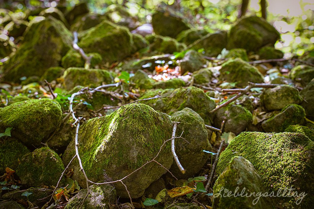 Basalt am Eulenberger See