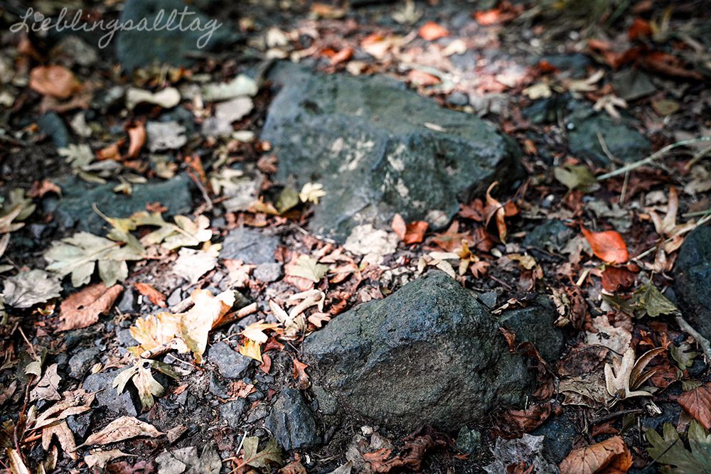 Basalt am Eulenberger See