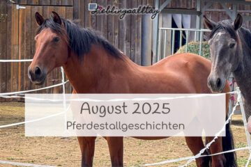 Pferdestallgeschichten August 2025