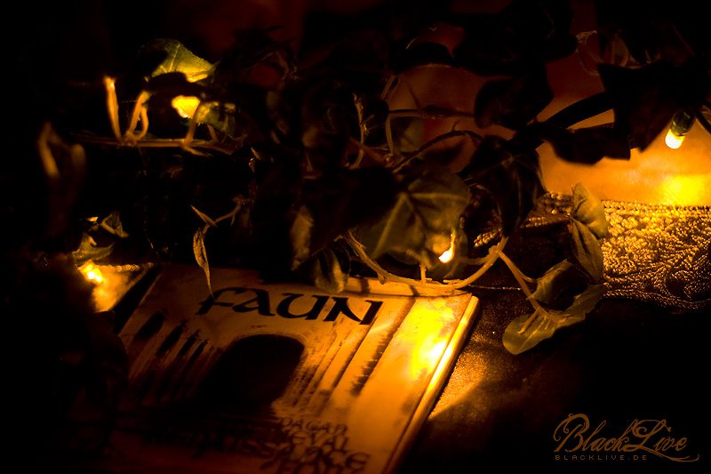 Faun @ Köln, 4.12.2011