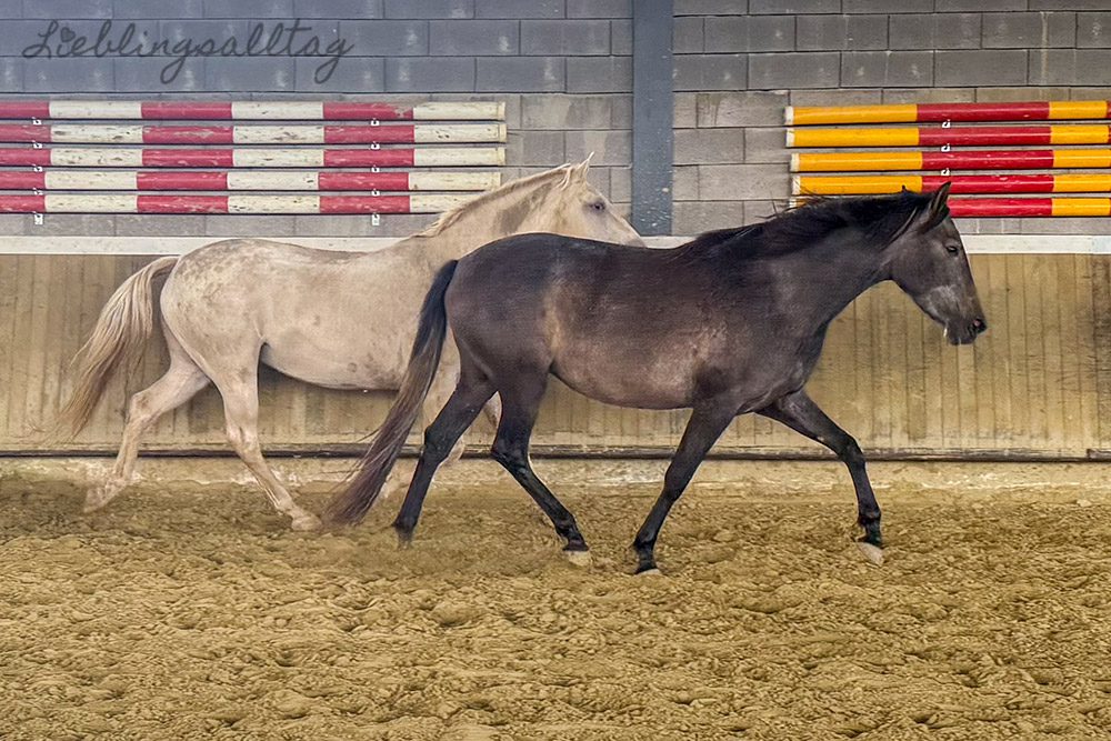 Feli und Leya in der Halle