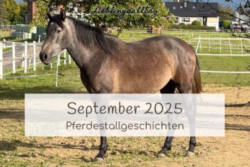 Pferdestallgeschichten September 2025