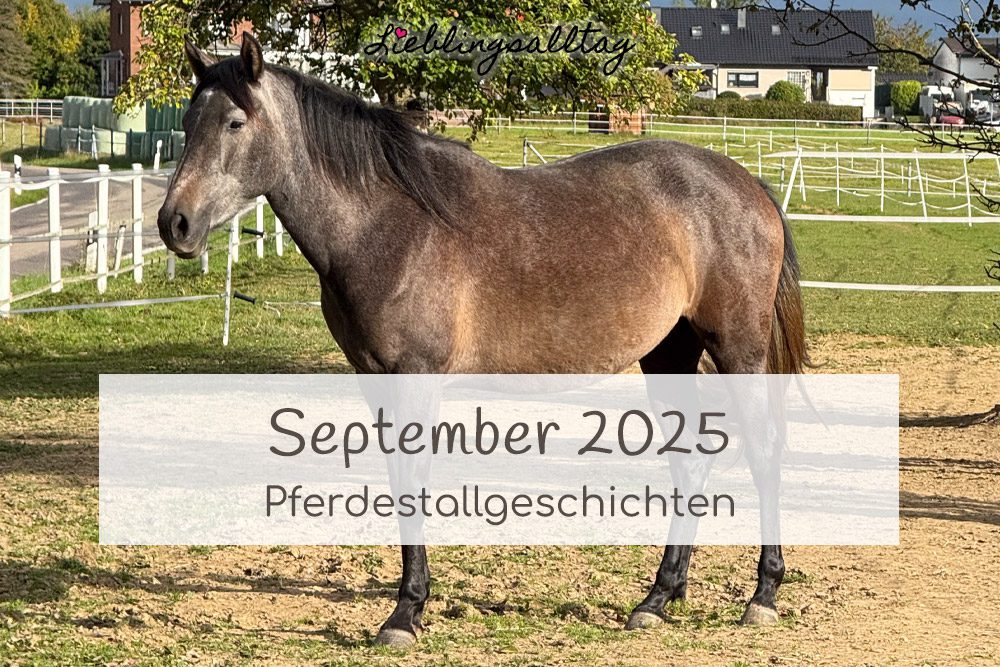 Pferdestallgeschichten September 2025