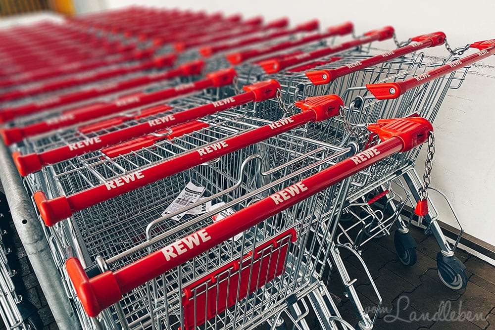 12 von 12 im Januar 2021: Einkaufen