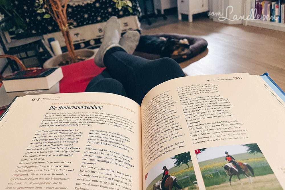 12 von 12 im Januar 2021: Lesen