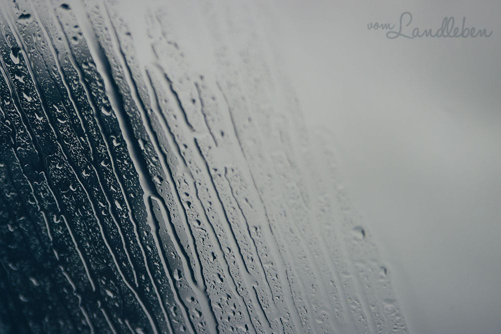 12 von 12 im Januar 2021: Regen