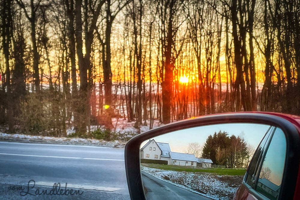 12von12 im Februar 2021 - Sonnenuntergang