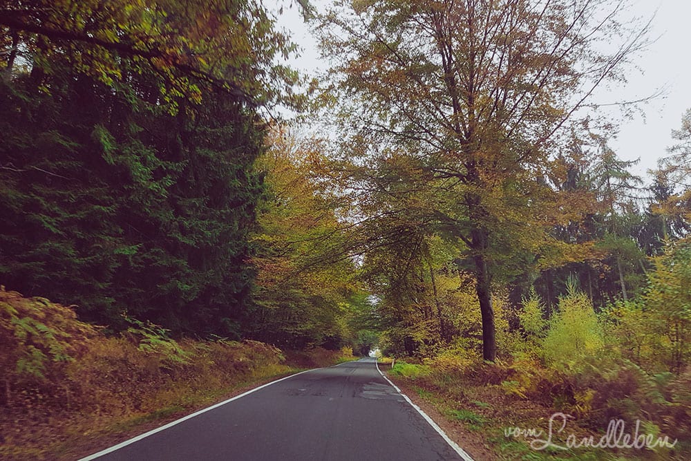 Ausflug nach Nümbrecht