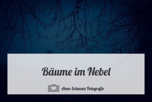 Bäume im Nebel