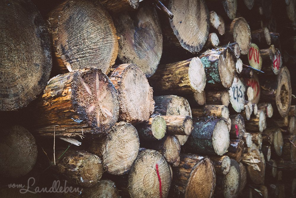 Baumstämme