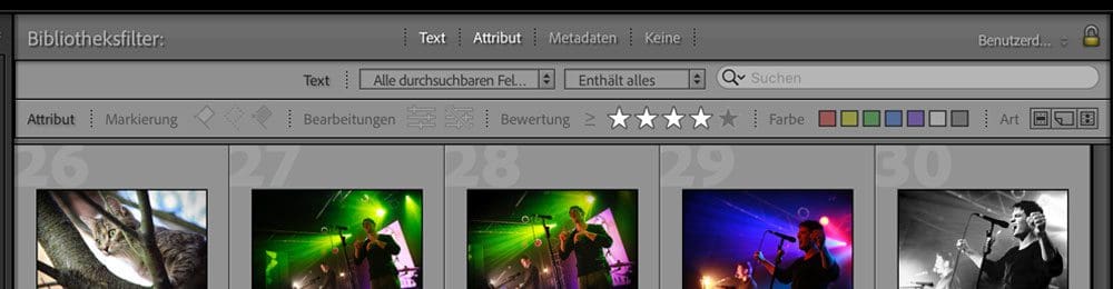 Bibliotheksfilter in Adobe Lightroom: Suche nach Attribut